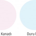 Dufa yeni renkler