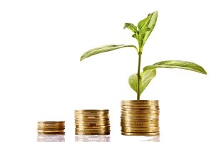 Coins and green plant isolated on white