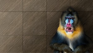 1455266193_TEAK_VENGE